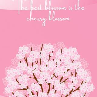 Phone spring aesthetic wallpaper