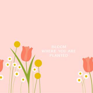 Pretty spring laptop wallpaper