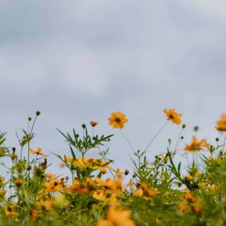 7680x1440 spring wallpaper