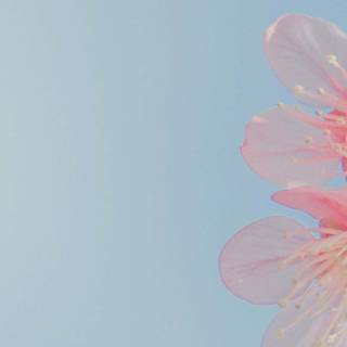 7680x1440 spring wallpaper