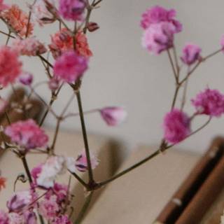 7680x1440 spring wallpaper