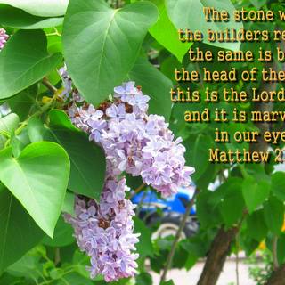 Bible verse spring wallpaper