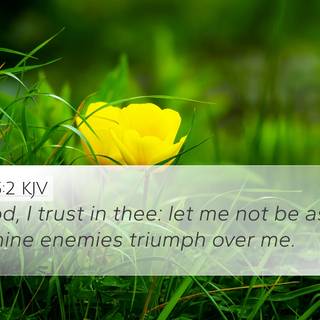 Bible verse spring wallpaper