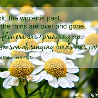 Bible verse spring wallpaper