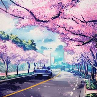 Spring street anime wallpaper