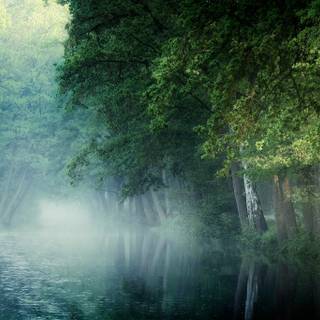 Spring nature outdoor wallpaper