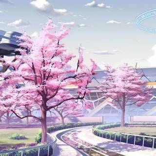 Spring street anime wallpaper