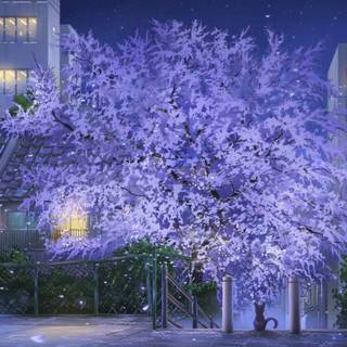 Spring street anime wallpaper