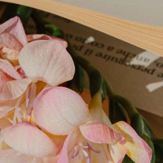 7680x1440 spring wallpaper