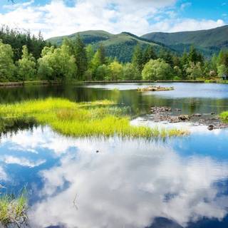 Spring nature outdoor wallpaper