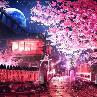 Spring street anime wallpaper