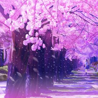 Spring street anime wallpaper