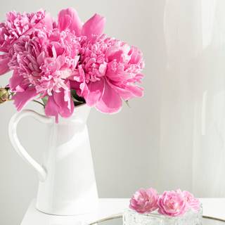 Pink flowers Valentine wallpaper