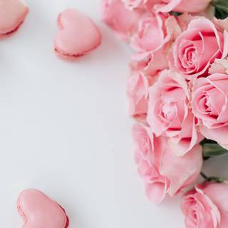 Pink flowers Valentine wallpaper