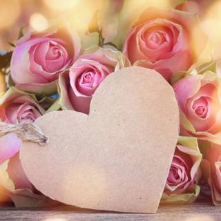 Pink flowers Valentine wallpaper