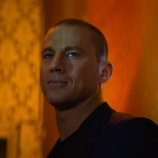 Magic Mike's Last Dance wallpaper