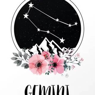 Pink Gemini wallpaper