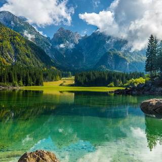 Forest spring water wallpaper