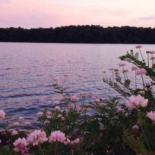 Aesthetic spring landscape wallpaper