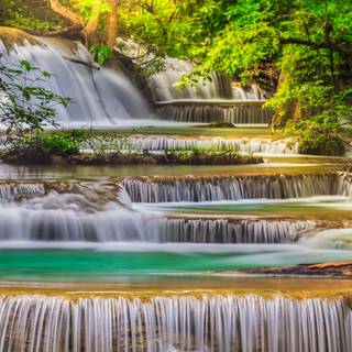 Forest spring water wallpaper