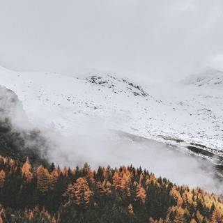 Aesthetic spring landscape wallpaper