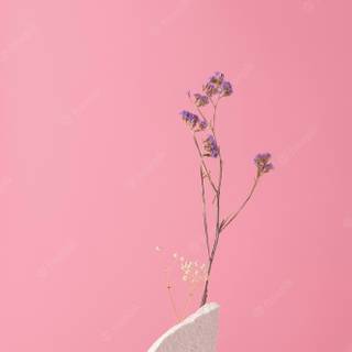 Soft spring collage wallpaper