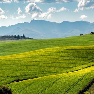 Aesthetic spring landscape wallpaper