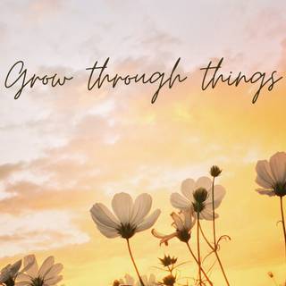 Aesthetic spring landscape wallpaper