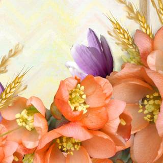 Soft spring collage wallpaper