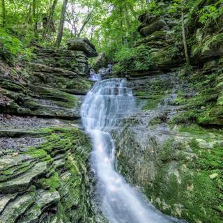 Forest spring water wallpaper