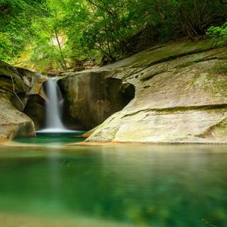 Forest spring water wallpaper