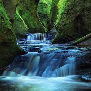 Forest spring water wallpaper