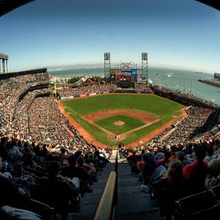 2023 Giants wallpaper