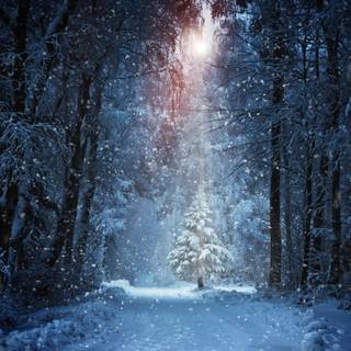 8k wide winter wallpaper