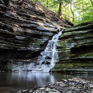 Forest spring water wallpaper