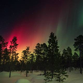 8k wide winter wallpaper