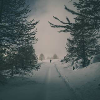 8k wide winter wallpaper