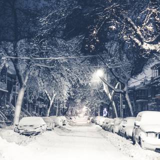 8k wide winter wallpaper