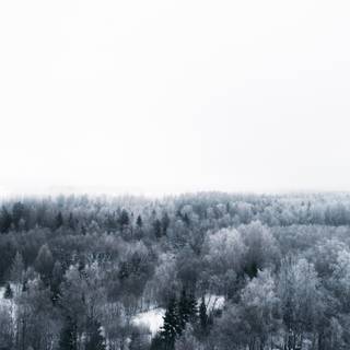 iPad winter minimalist wallpaper