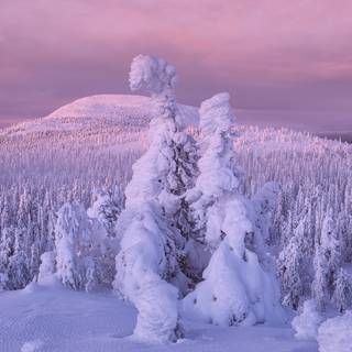 Winter sport ultrawide wallpaper