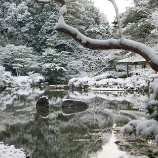 Japan winter desktop wallpaper