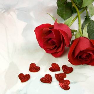 Valentine's Day cute rose wallpaper