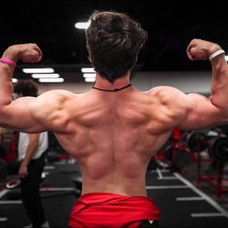 Lexx Little wallpaper