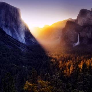 Eye catching wallpaper