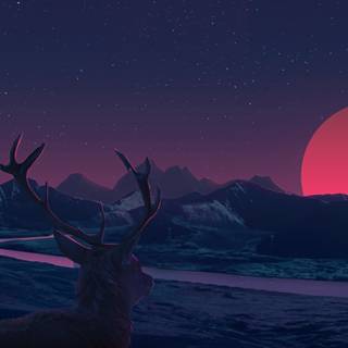Deer sunset wallpaper