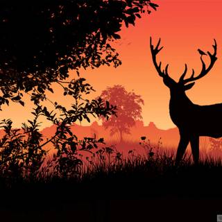 Deer sunset wallpaper