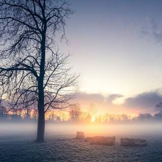 Morning sunrise HD mobile wallpaper