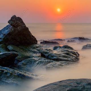 Morning sunrise HD mobile wallpaper