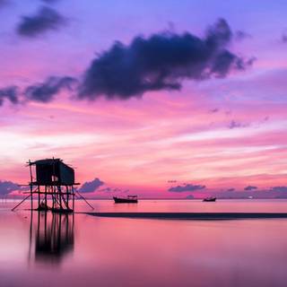 Morning sunrise HD mobile wallpaper