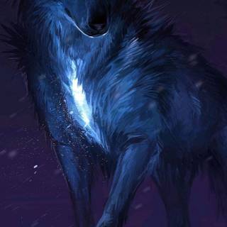 Wolf iPhone 13 Pro Max wallpaper
